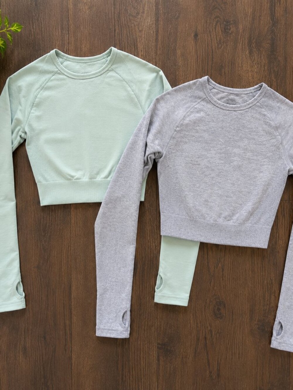 2 piece Gymshark Bundle-Seamless Long Sleeve Crop Tops XS and Small 2pc